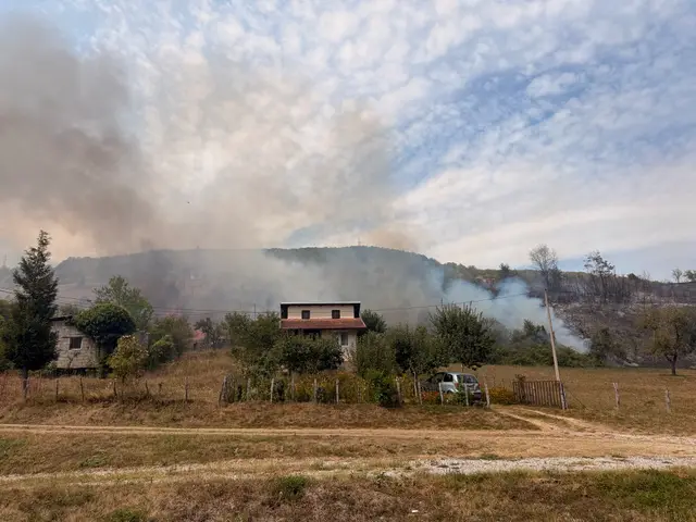 Veliki požar kod Foče / foto: RINA