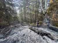 Gori šuma na srpskoj granici: Veliki požar na Kamenoj Gori, veliki broj vatrogasca -spasioca na terenu (FOTO)