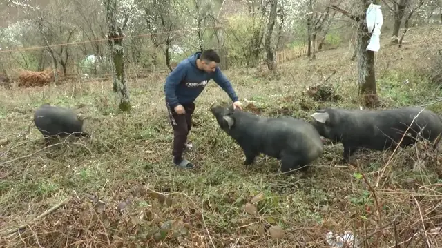 Mladi Vučić nije otišao iz rodnog sela, foto: RINA