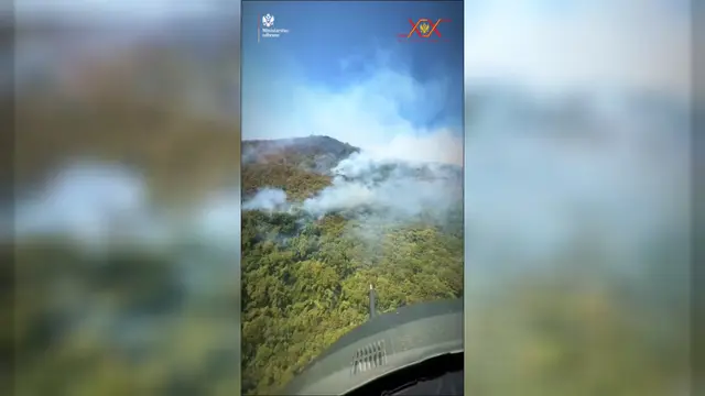 Foto: UP Crne Gore, Screenshoot