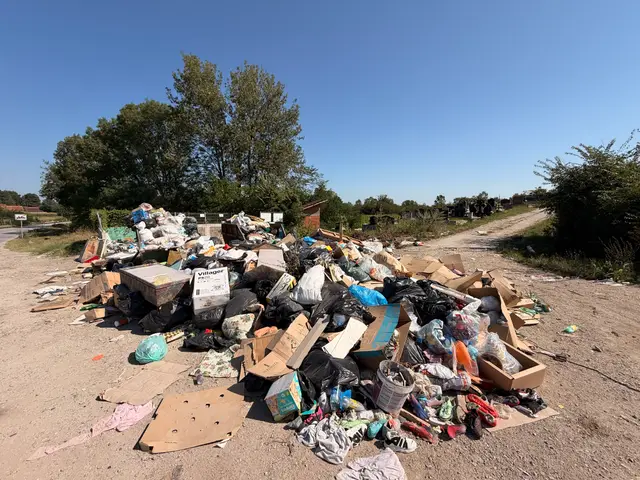 Deponija pored glavnog puta u selu Slatina, foto: RINA